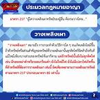 มาตรา 217